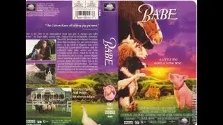 Opening To Babe 1996 VHS
