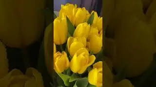 С 8 марта 🌷🌷🌷