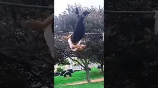 Altero de crypta crisally hard 🔥#gimbarr #sport #воркаут #calisthenics #джимбарр #streetworkout