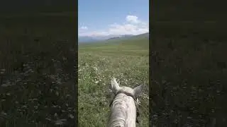 Қазақ неге өзіне жау? 