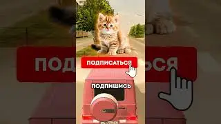 ОБМАТЕРИЛ СПЕЦ АДМИНА НА БЛЕК РАШЕ #блекраша #crmp #gta