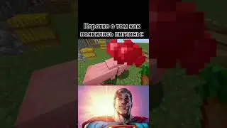 Эх Эти #майнкрафтприколы