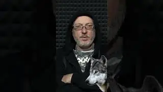 Правила волка - Андрей Вранской