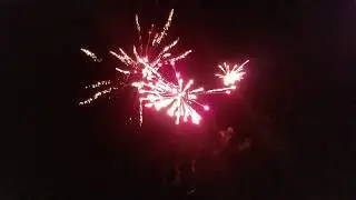 Cat Memes by Powder Keg Fireworks