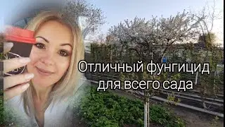 Vlog-207 Отличный фунгицид для всего сада