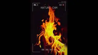 🔥🔥IGNITED 🔥🔥|Slow Motion Video With Insane Beat|Slow Motion Fire Video|