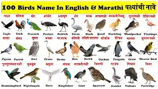 100 birds name in english and marathi with pictures and pdf | 100 पक्ष्यांची नावे |