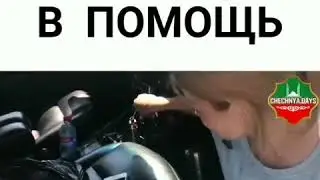 Факт о чеченцах