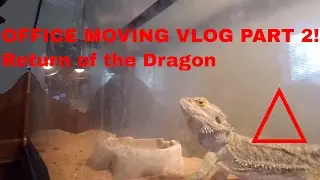 Moving Office Vlog Part 2! Return of the Dragon