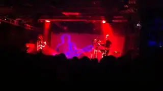 Dolphin - Весна