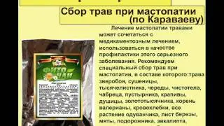 Сбор трав при мастопатии по Караваеву
