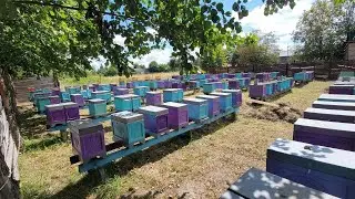 Годівниці ппу для підгодівлі бджіл 200+/Форми для вуликів ппу 6 рамок/Обробка бджіл від кліща