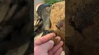 Эти высоты молчат, но память жива.. ( убитый в бою под Синявино солдат)