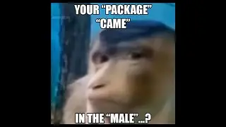 YOUR 