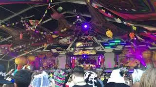 The Black Madonna at Electric Zoo 2017 El Row