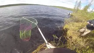 Щука июнь 2020