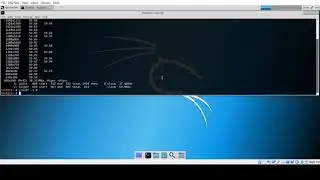 How to fix Screen Resolution in Linux [Kali Linux]