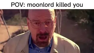 Terraria slander