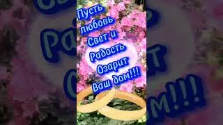 С днём Семьи, любви и Верности!