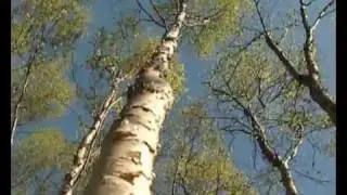 Видеозарисовки Мурманск лето 1.mp4
