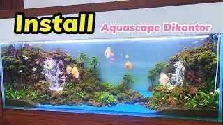 menghadirkan suasana aquascape air terjun di kantor