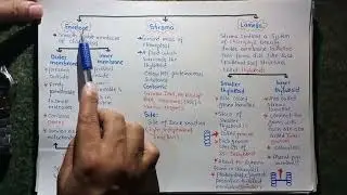 Plastids (Chloroplast) | MDCAT 2023 | Cell Biology