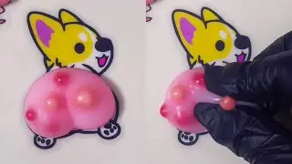 Squeeze the pimples on little Corgi’s butt #PIMPLE POPPING #stress relief toys