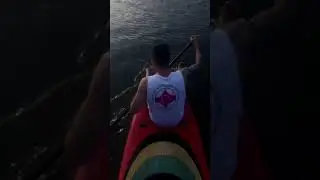 Впервые на сапе 🏄🏼‍♀️ было жестко🤭 #рек #сапсерфинг #выходные