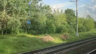 СБВ рядом с М-4 21.07.24