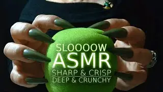 Super-SLOW Heavenly SCRATCHING Triggers w/ Sharp Nails | Sharp, Crisp, Crunchy, DEEP ASMR