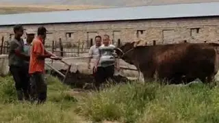 GIGANT SIGIRLAR TOMOSHA VIDE QASHQADARYO KITOB TUMANI