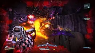 [BL2] Gunzerker gameplay - Rampage - Level 33