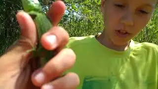 Охота началась 4