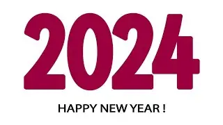 Capturing 2024 On Camera!