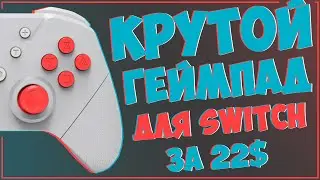 GAMEPAD FOR NINTENDO SWITCH FROM ALIEXPRESS 🎮