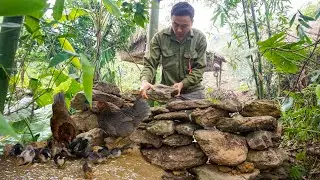 Buiding Farm, Build More Stone Toilets To Welcome 2 More Chickens To The Farm