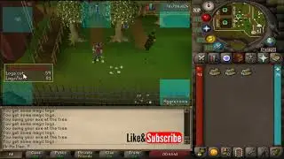 How to Move Overlays in RuneLite