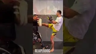 CHAMA🔥🔥 is READY!!!! #ufc303 #alexpereira #jiříprocházka #mma