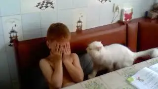 Кот успокаивает ребенка как может(прикол) - LP ACADEMY HUMOR