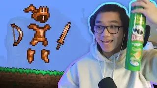 The WEIRDEST Terraria Mod I've Played... (SGA Mod)