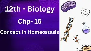 Homeostasis Introduction | Concept in homeostasis overview full explained in urdu hindi | class 12