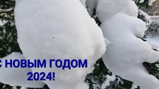 С Новым годом 2024! Вера в чудо. Загадывай желание