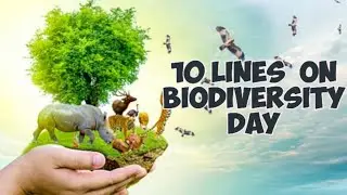 10 Easy Lines on Biodiversity Day | Essay On Biodiversity | Speech On Biodiversity |Biodiversity
