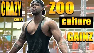How To Build A Huge Lean & Strong Chest  *Zoo Culture
