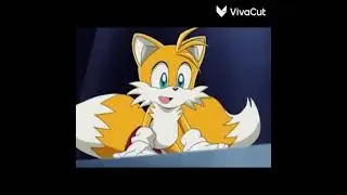 Sexy tails