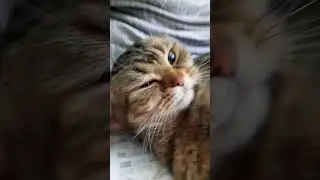 Ах этот макс 