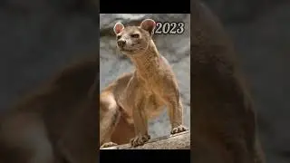 2023 fossa and 5000bce fossa || Past animals ||