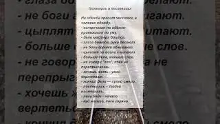 #поговорки #пословицы