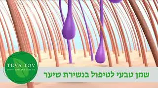 שמן טבעי לטיפול בנשירת שיער
