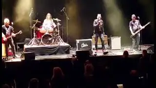 Ramones Tribute DK - “Judy Is A Punk” (Live 2023)